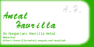 antal havrilla business card